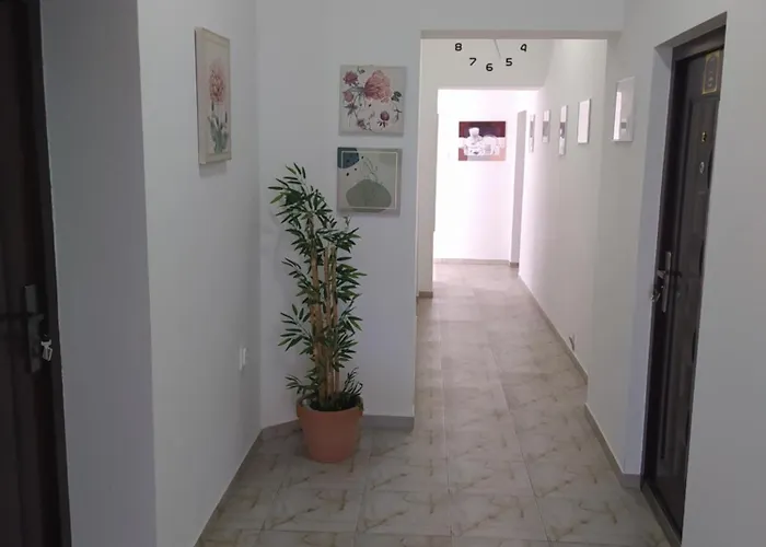 Lotus House Διαμέρισμα Ζρένιανιν